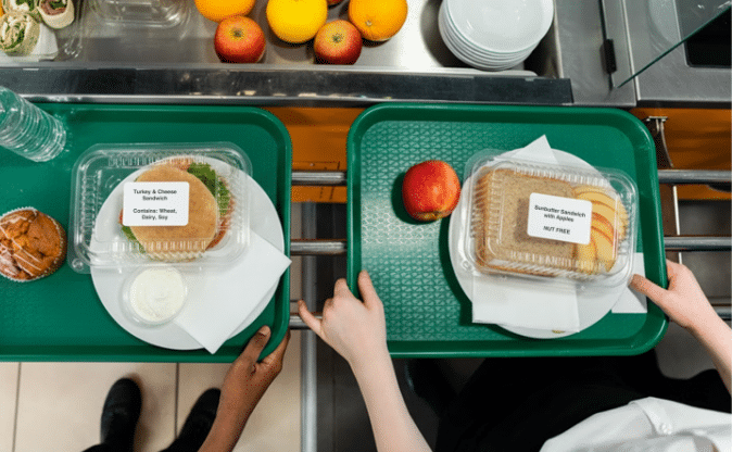 Two school lunch trays holding prepackaged turkey and sunbutter sandwiches with clear allergen labeling for wheat, dairy, and soy.